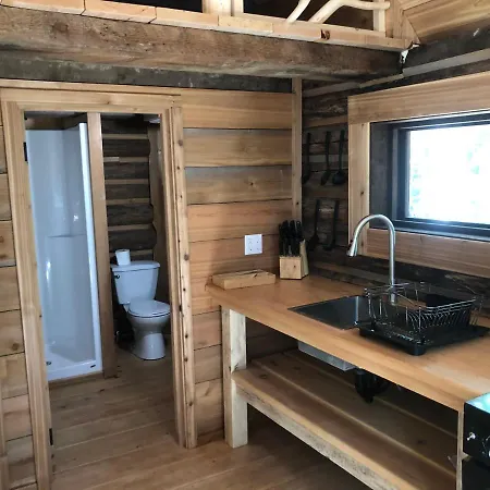 Mini Moo-Light Cabin Clearwater Exterior photo