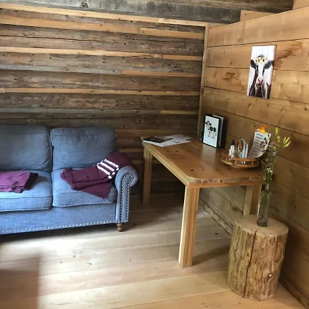Mini Moo-Light Cabin Clearwater Exterior photo